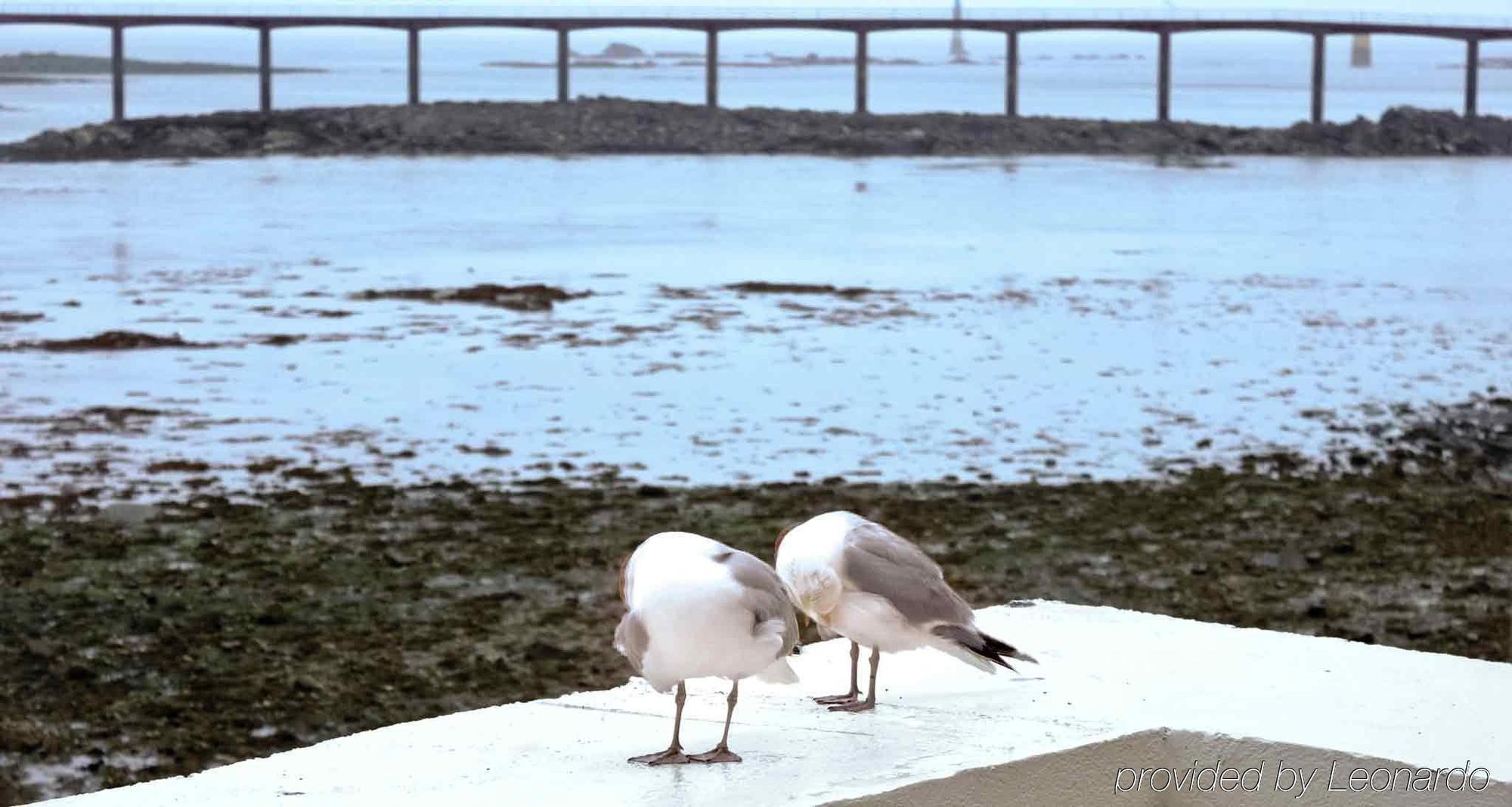 Hotel Ibis Roscoff Exteriér fotografie